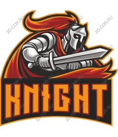  Knight