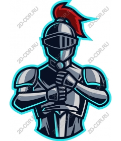  Knight in shining armor