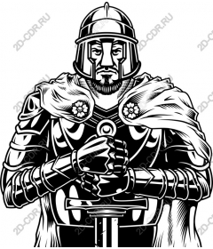 Valiant knight