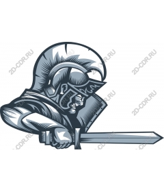  Spartan warrior