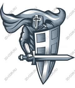  Knight in armor