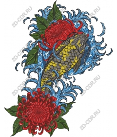 Koi and chrysanthemum