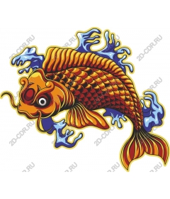  Bright koi fish