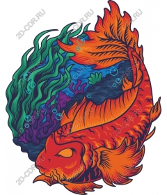  Bright orange fish