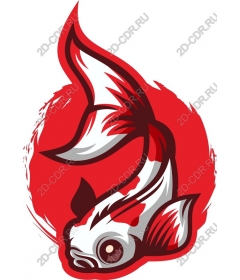  Bright koi fish
