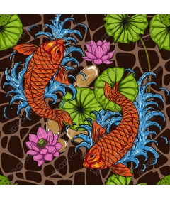  Bright koi fish