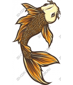  Bright koi fish