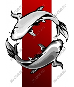  Koi Fusion: элегантность рыб кои