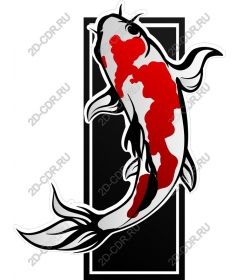 The koi fish is an elegant and