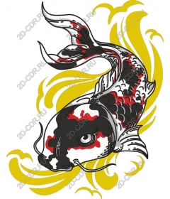 Majestic koi fish