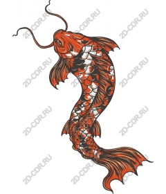  Bright koi fish