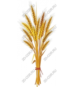  Bright wheat bouquet