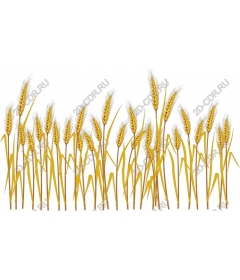 Golden Wheat Field