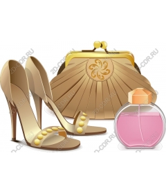  Elegant collection of fashion accessories