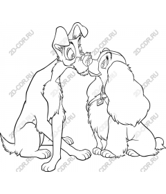  Adorable dog couple