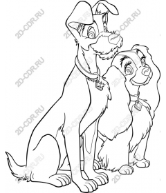  Charming Duo of dogs