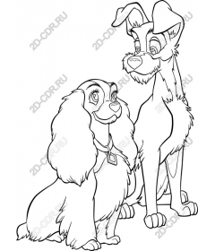  Charming Duo of dogs
