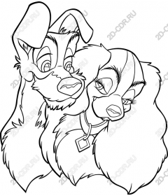  Adorable dog couple
