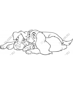 Duo clinging dogs