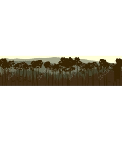 Forest serenity