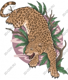  Fierce leopard in nature