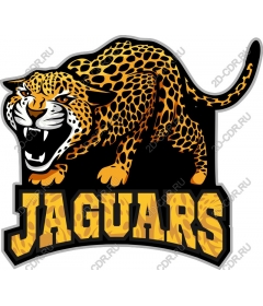  Ferocious Jaguar