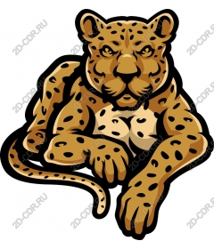  Ferocious leopard