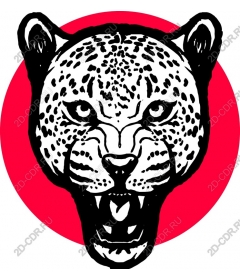 Head a ferocious Jaguar