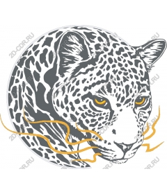leopard