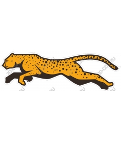  Bright Cheetah