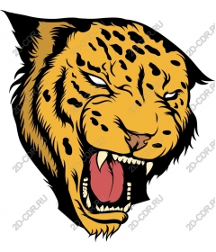  A roaring leopard