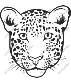  The face of a leopard