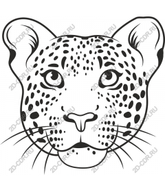  The face of a leopard