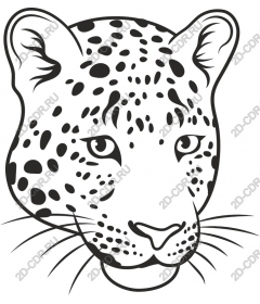 The majestic head of a leopard