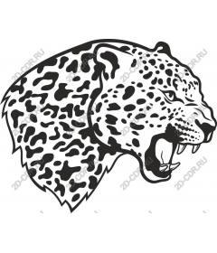  Голова леопарда