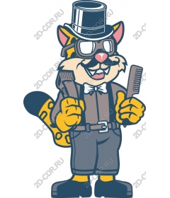  Dapper care of the cat