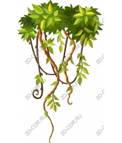  Пышная зеленая листва