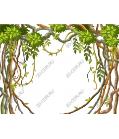  Frame of lush green vines