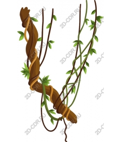  Twisted vine