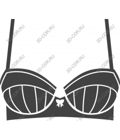  Gorgeous bra