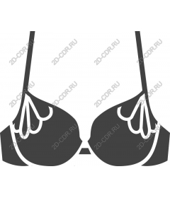 Elegant bra