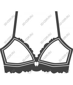  Beautiful bra for underwear