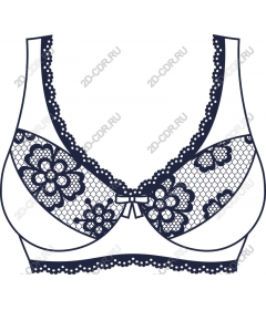  Elegant lace bra