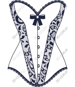  Elegant lace corset