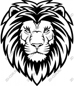  A majestic lion's head