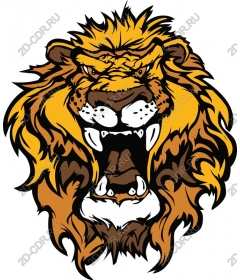  The majestic roaring lion head