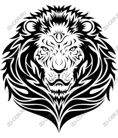Majestic lion