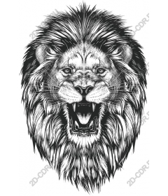 Roaring lion head