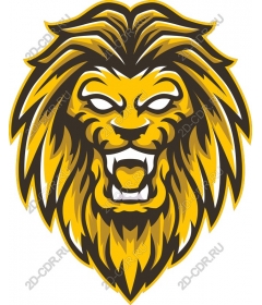  Colourful lion head