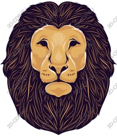  A majestic lion's head